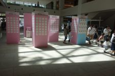 ナスの呪い揚げ(やすらぎの郷)_e0080345_18314860.jpg