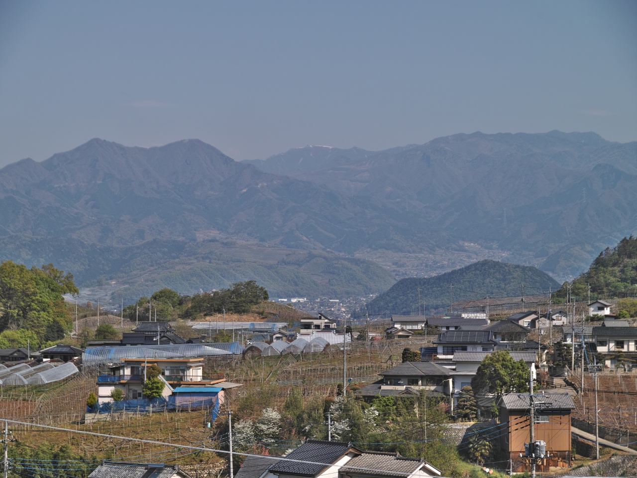 c0008948_1310236.jpg