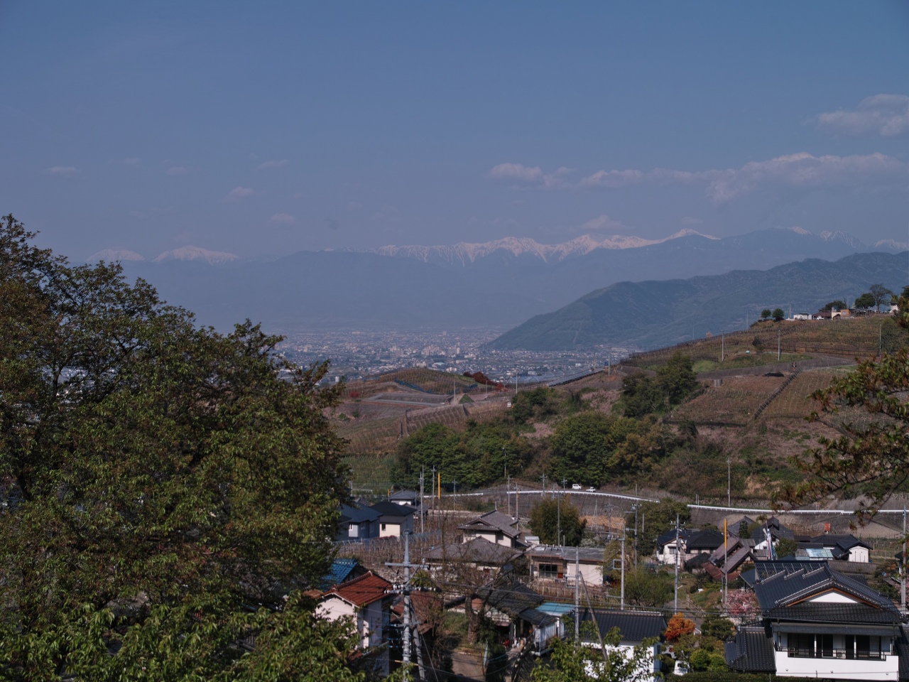 c0008948_13142529.jpg
