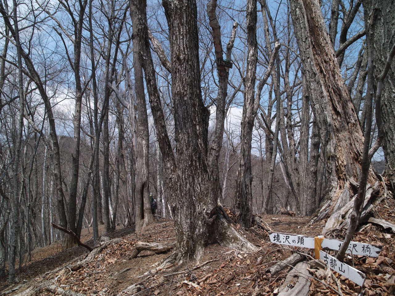 c0008948_13373888.jpg