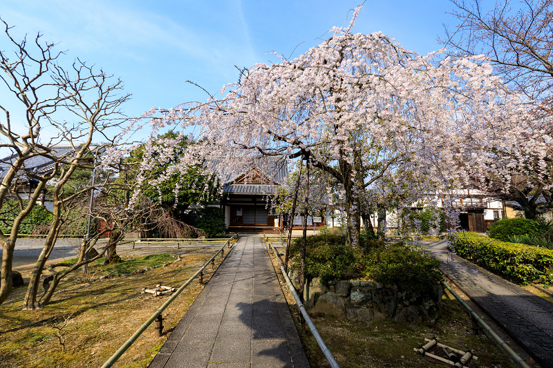 京都の桜2017 上品蓮台寺の春_f0155048_1821067.jpg