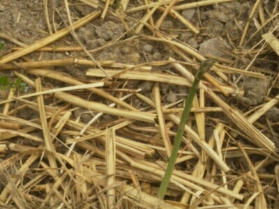 c0330749_06435863.jpg