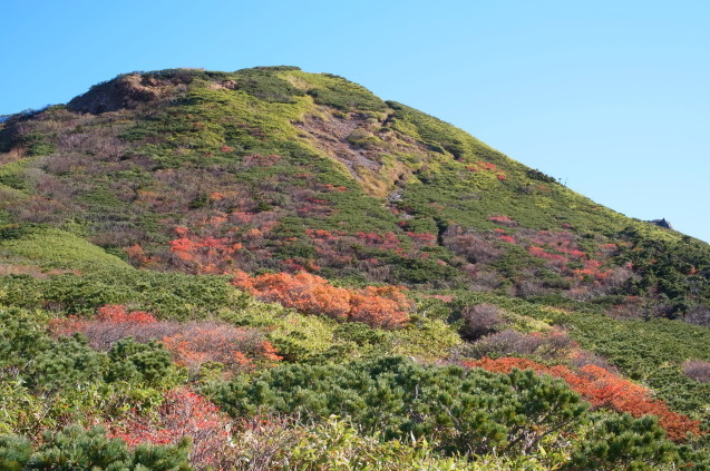 上州～上信越～尾瀬登山の旅　4　（武尊山） 　　_a0288155_22432190.jpg