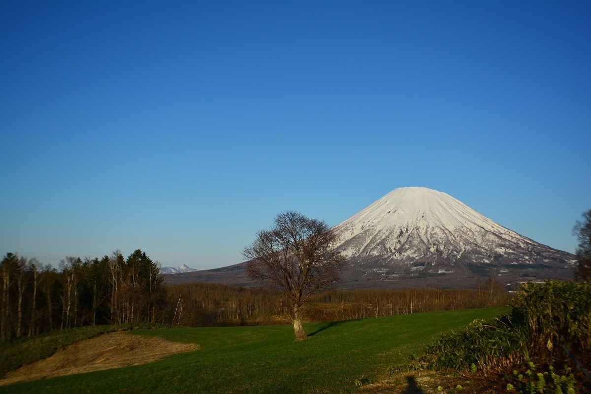d0333958_17411292.jpg