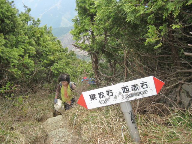 2017.5.3 東赤石山1706ｍ_c0219866_14224621.jpg