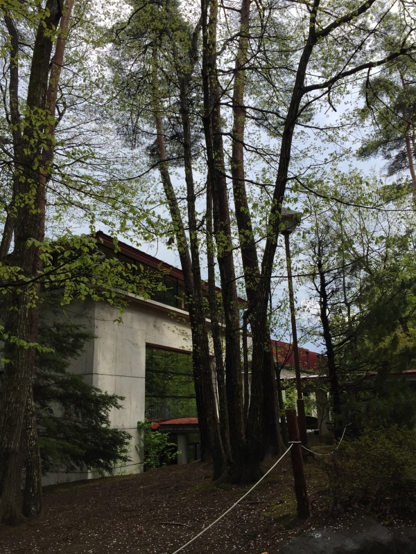 f0350468_14334543.jpg