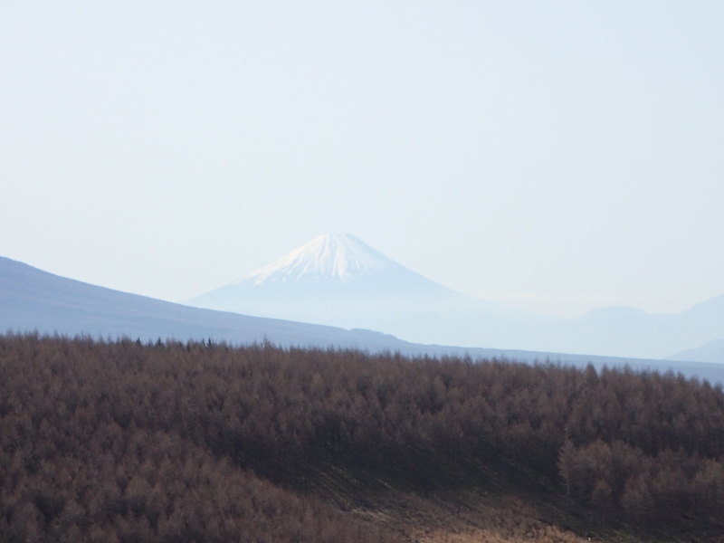 f0350468_15571850.jpg