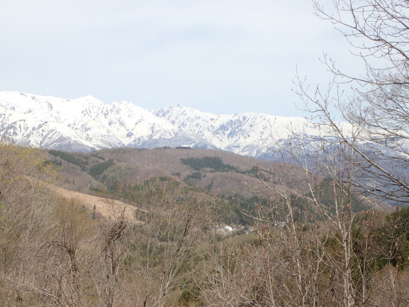 f0350468_17534521.jpg