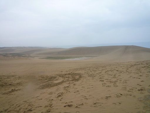 c0273271_8561912.jpg