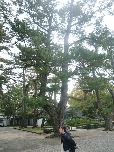 c0273271_9111179.jpg