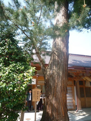 c0273271_920225.jpg