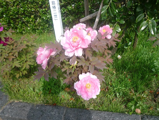 c0273271_9314619.jpg