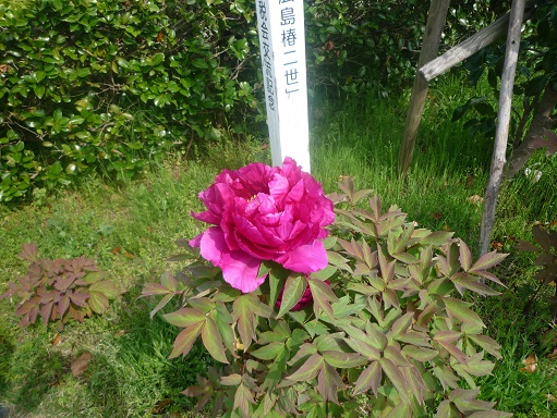 c0273271_9321317.jpg