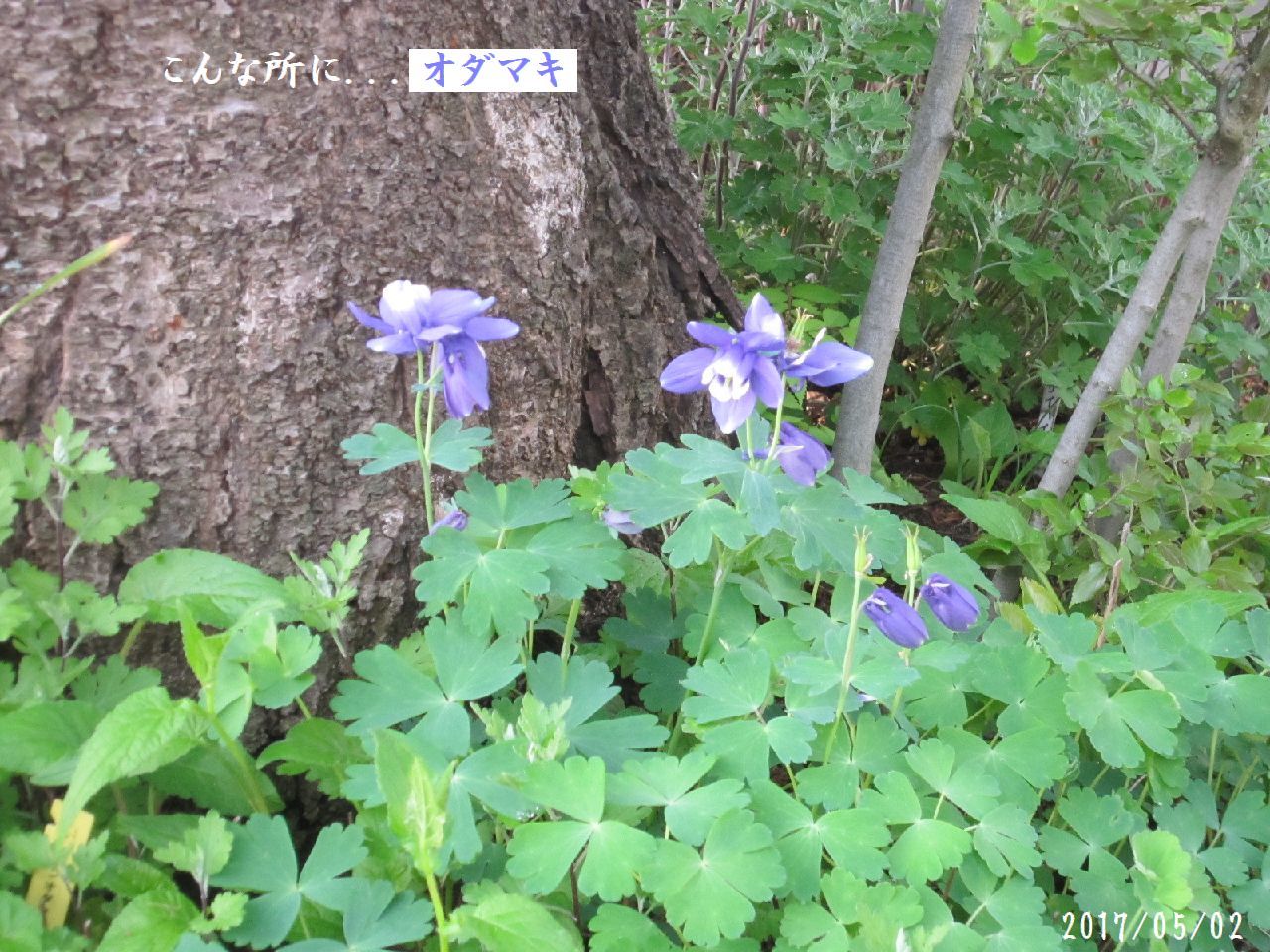 a0207574_07003000.jpg
