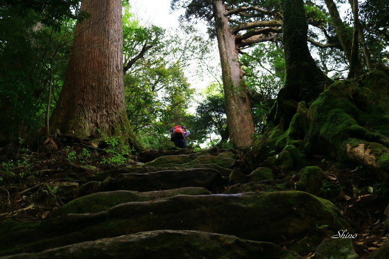 c0250376_07200556.jpg