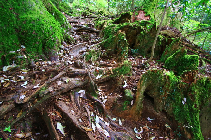 c0250376_07312544.jpg