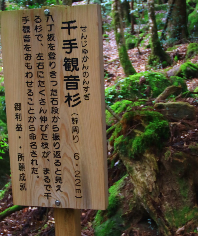 c0250376_07325210.jpg