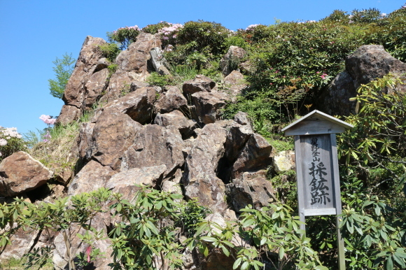 お茶づくしツーリング　その２・・・満開のシャクナゲ（星の花公園）_b0224178_00232792.jpg