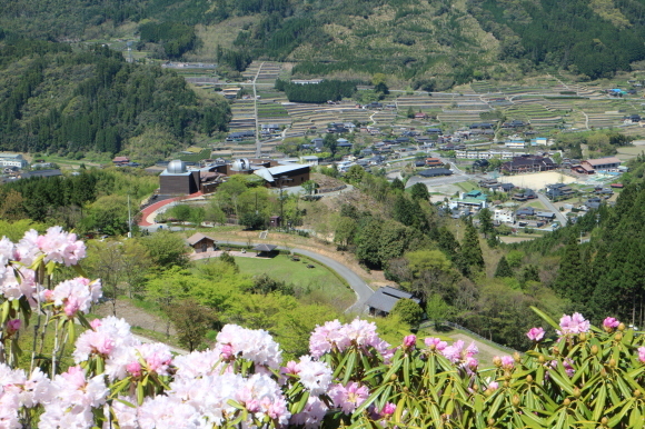 b0224178_00260543.jpg
