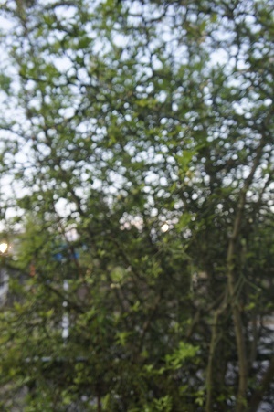 d0179679_00232534.jpg