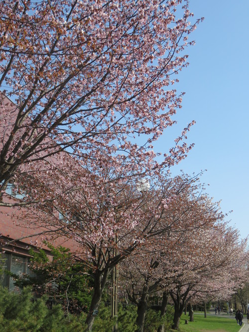 c0171889_15355378.jpg