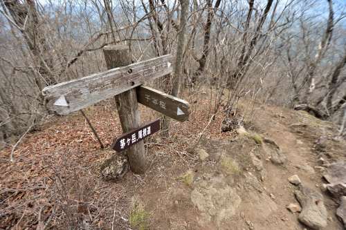 深田氏終焉の地、茅が岳に登る③下山_e0241691_20175310.jpg