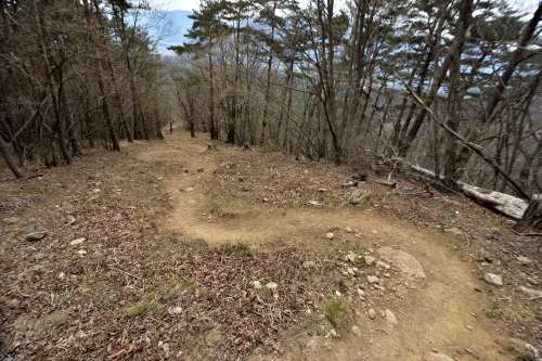 深田氏終焉の地、茅が岳に登る③下山_e0241691_20304210.jpg