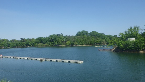 ～鮎川湖～平井城跡～猪ノ田温泉　久恵屋旅館～金山城跡_e0056401_23011294.jpg