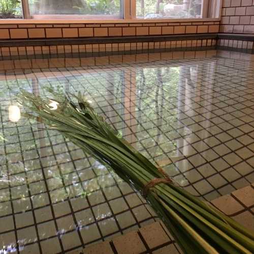 菖蒲の節供_f0040201_17045534.jpg