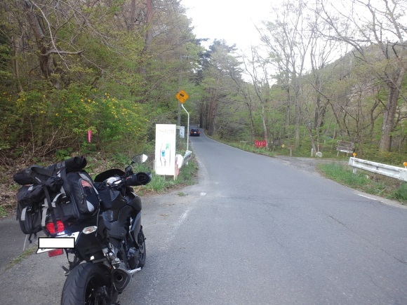 c0336907_20403019.jpg