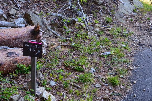 c0336907_20432419.jpg