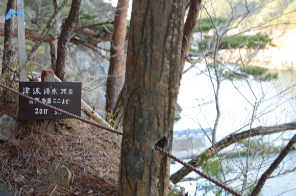 c0336907_20475603.jpg