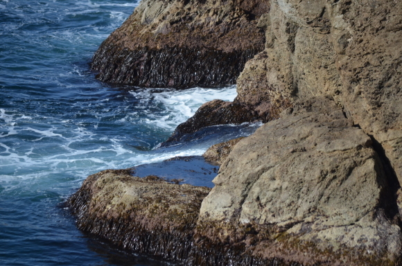 c0336907_21093353.jpg