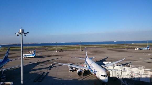 5/4 ブルーシール羽田空港店 ダブルアイス(ネオポリタン + バナナスザンナ)with ワッフルコーン & 羽田空港展望台_b0042308_16322365.jpg