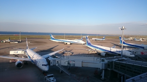 5/4 ブルーシール羽田空港店 ダブルアイス(ネオポリタン + バナナスザンナ)with ワッフルコーン & 羽田空港展望台_b0042308_16461785.jpg