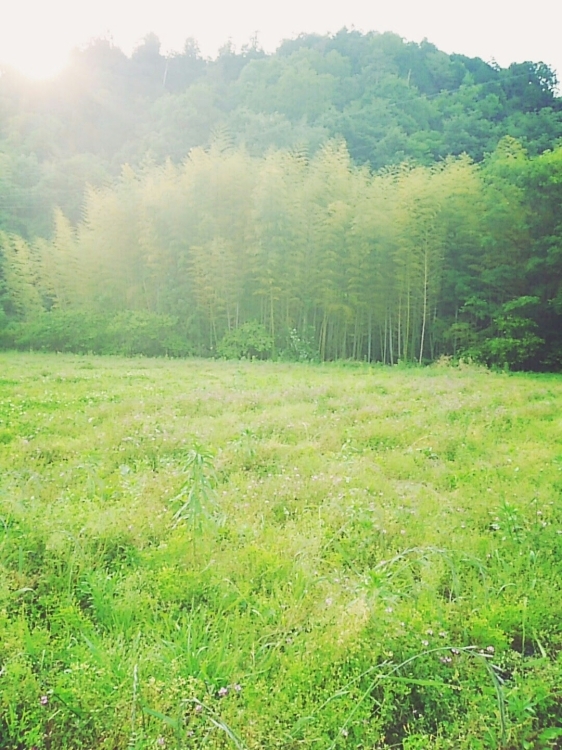 c0016208_17334301.jpg