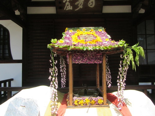 西条市北条の長福寺の花祭りと3色の藤棚…2017/5/5_f0231709_22300190.jpg