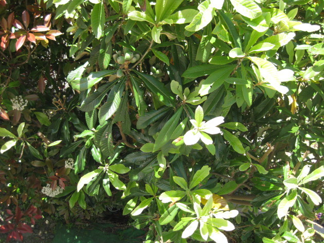 b0183111_10321446.jpg
