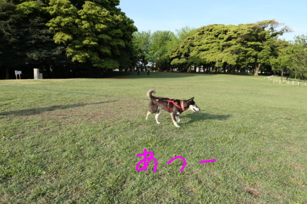 f0369014_13160147.jpg