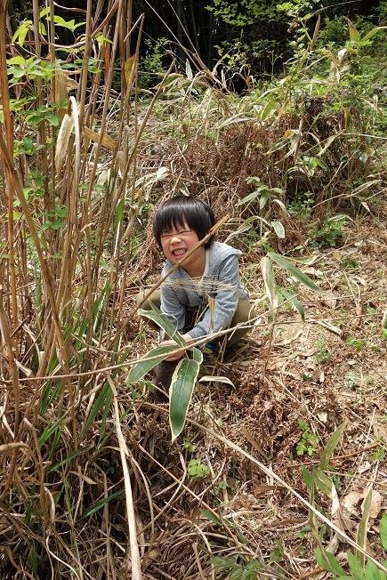 山菜狩りとバーベキューランチ_f0168317_21364702.jpg