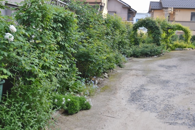 d0096422_9415978.jpg