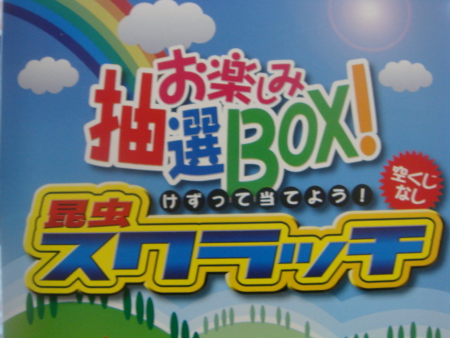 170505 ザリガニ・ヤドカリ_f0189122_14274885.jpg