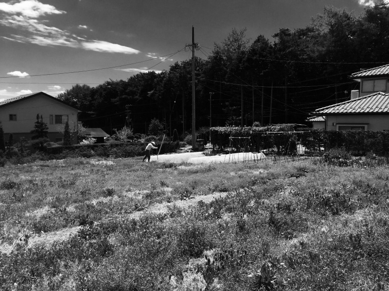 c0087023_17505100.jpg
