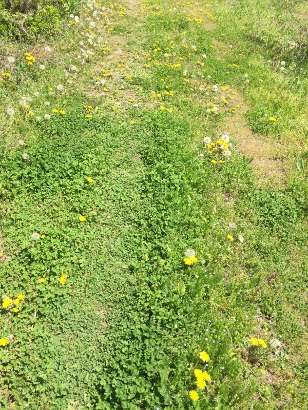 c0087023_17521926.jpg