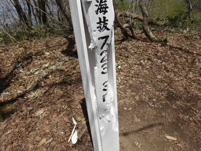 c0141223_17173123.jpg