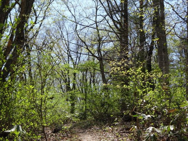 c0141223_17311960.jpg