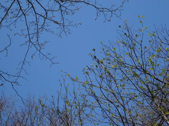 c0141223_17370403.jpg