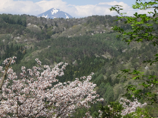 c0141223_17443696.jpg