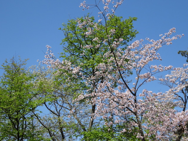 c0141223_17463268.jpg
