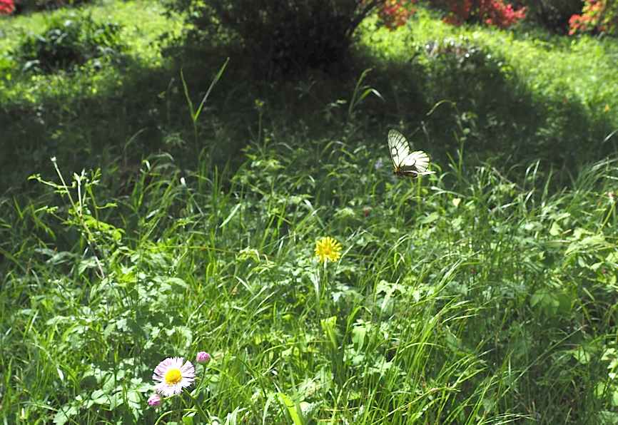 d0303129_2445097.jpg